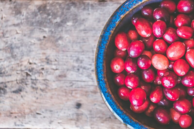 The Hidden World of Cranberries: Exploring 50 Unique Varieties
