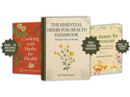 Herbs For Health - Only Herbal Remedies Offer! E-books