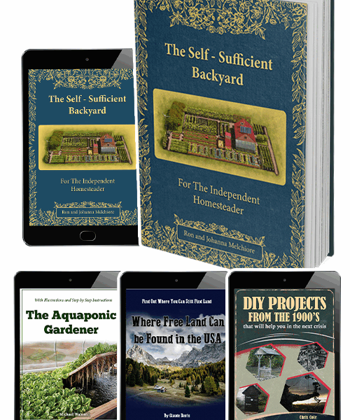 NEW: The Self-Sufficient Backyard Book (printed)