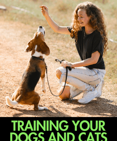 Training Your Dogs And Cats E-books