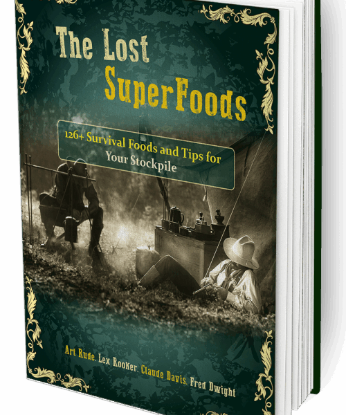 The Lost SuperFoods Book (printed)