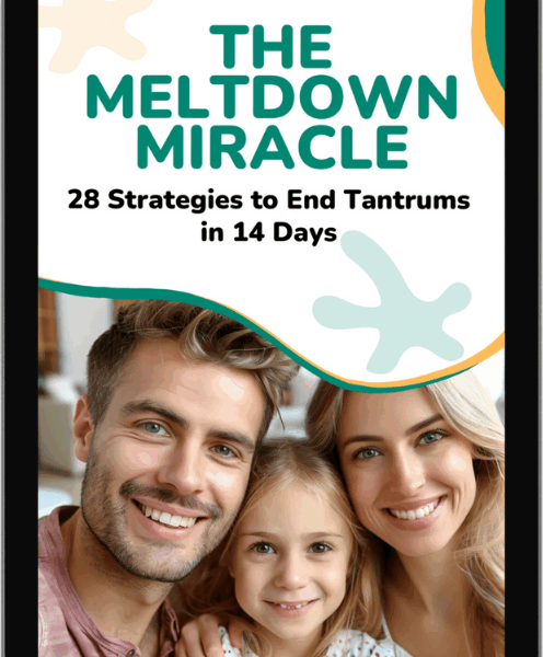 The Meltdown Miracle - eBook