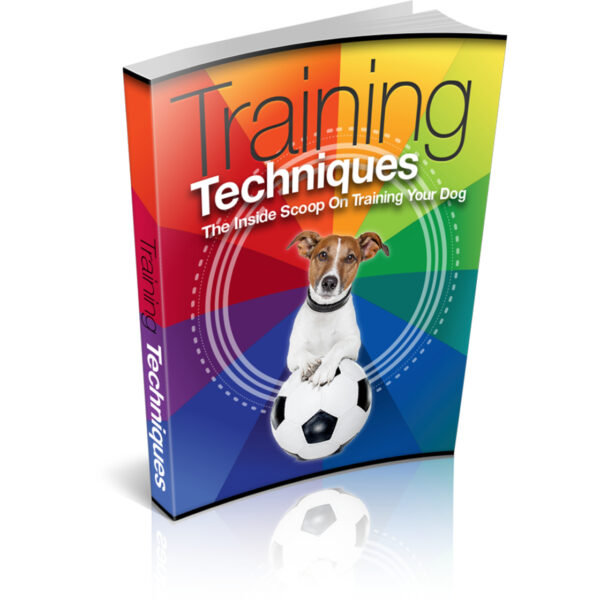 Training Techniques: The Inside Scoop On Training Your Dog